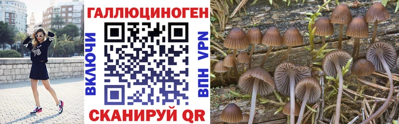 кракен как зайти Полярные Зори Галлюциногенные грибы мицелий